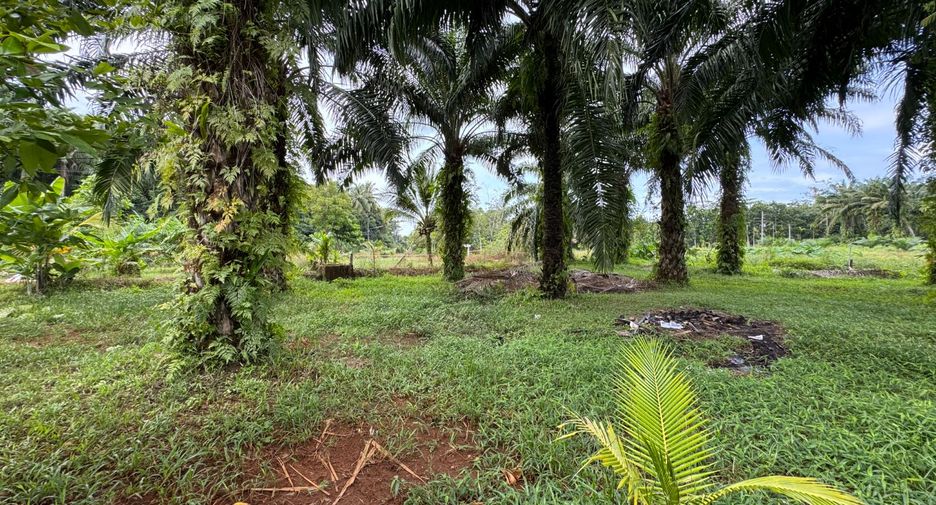 For sale 2 Beds house in Takua Pa, Phang Nga