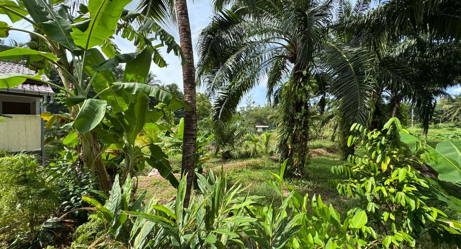 For sale 2 Beds house in Takua Pa, Phang Nga