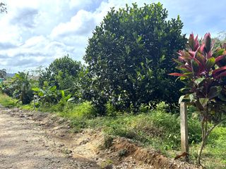 For sale land in Takua Pa, Phang Nga