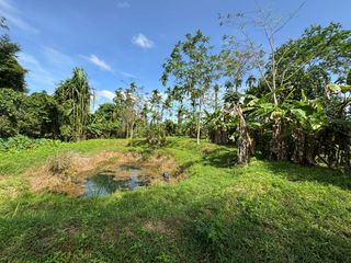 For sale land in Takua Pa, Phang Nga