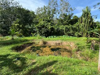 For sale land in Takua Pa, Phang Nga
