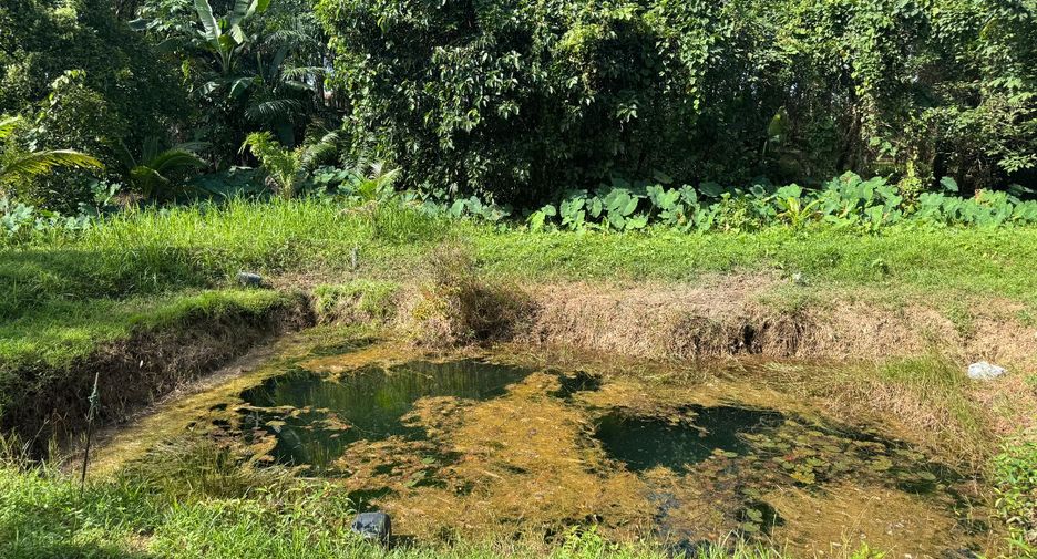 出售 土地 在 Takua Pa, Phangnga