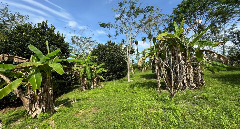 出售 土地 在 Takua Pa, Phangnga