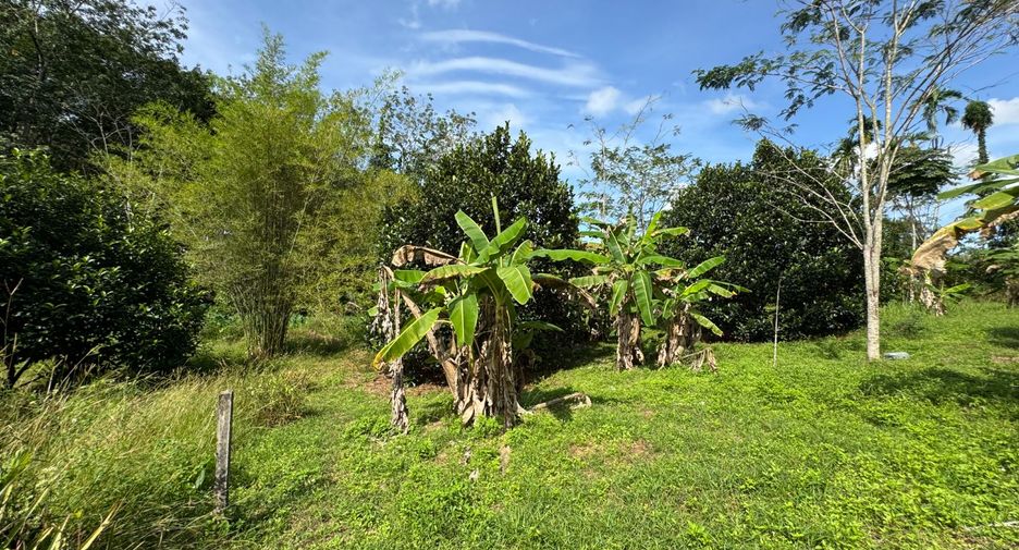 出售 土地 在 Takua Pa, Phangnga
