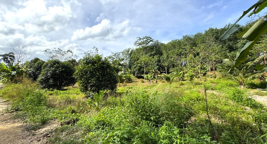 出售 土地 在 Takua Pa, Phangnga