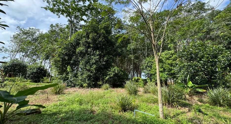 出售 土地 在 Takua Pa, Phangnga