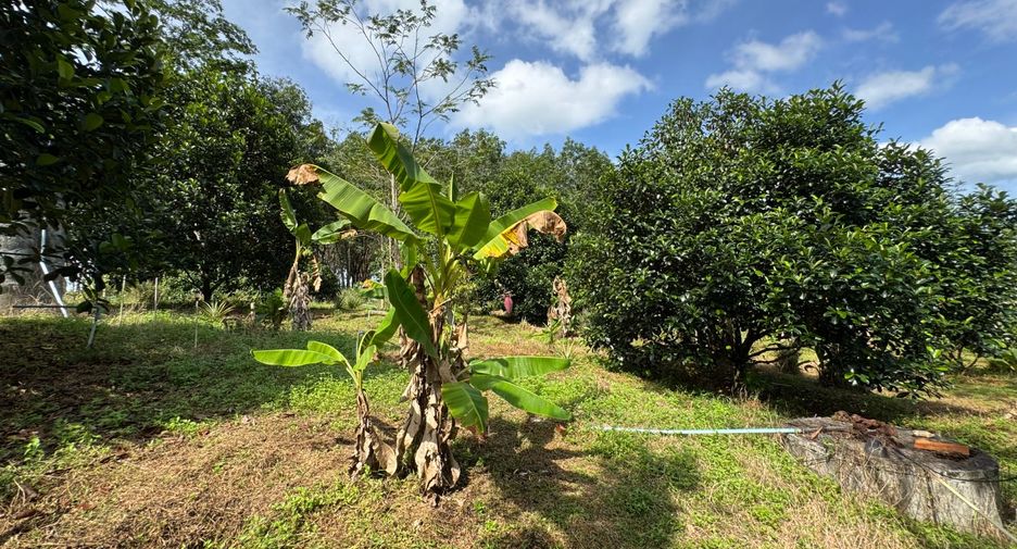 出售 土地 在 Takua Pa, Phangnga
