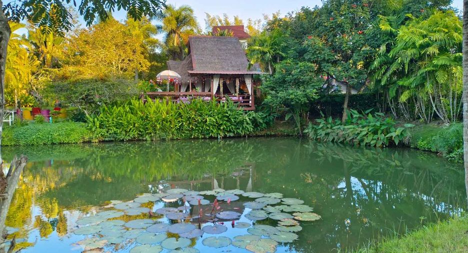 For sale 9 bedrooms hotel in Pai, Mae Hong Son