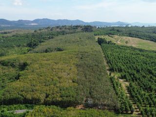 For sale land in Takua Thung, Phang Nga