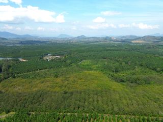 For sale land in Takua Thung, Phang Nga