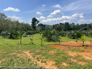 For sale land in Takua Thung, Phang Nga