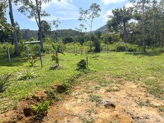 For sale land in Takua Thung, Phang Nga