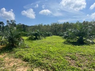 For sale land in Takua Thung, Phang Nga