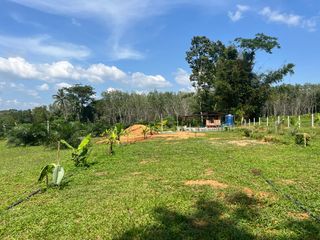 For sale land in Takua Thung, Phang Nga