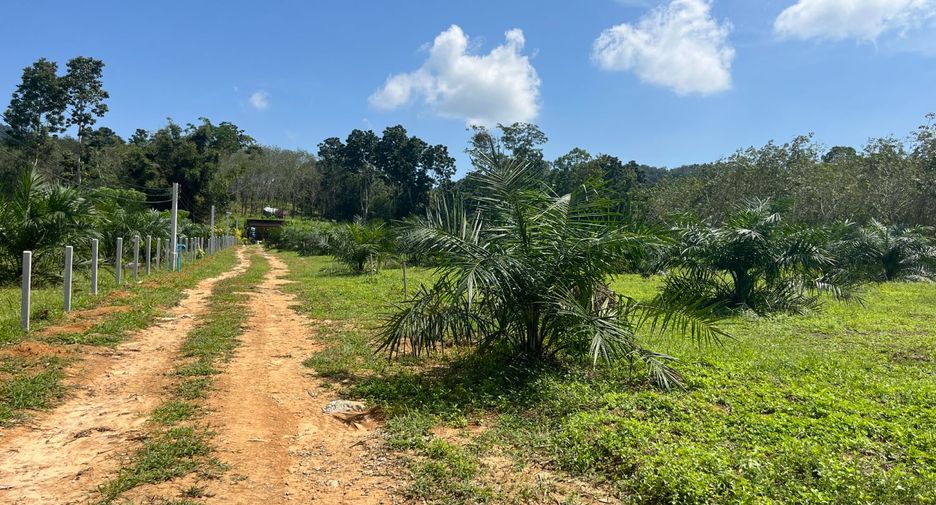 ขาย ที่ดิน ใน ตะกั่วทุ่ง, พังงา