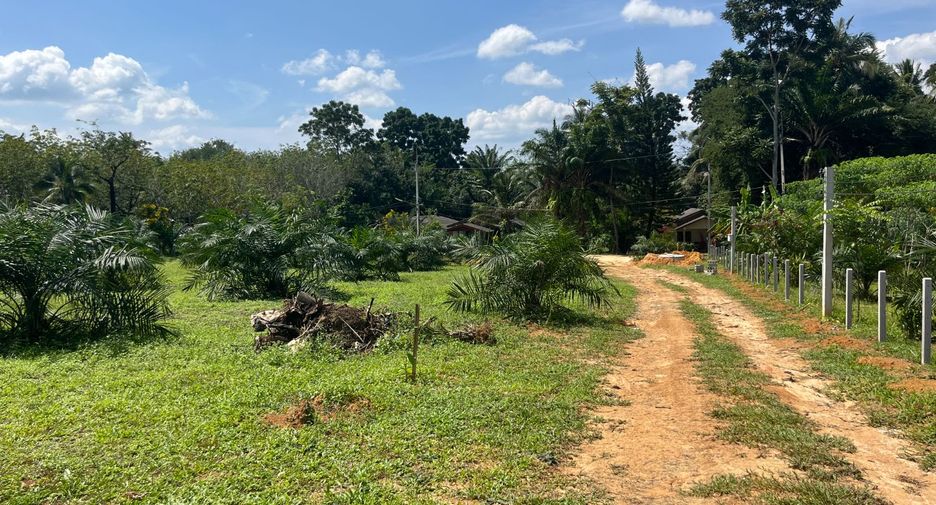ขาย ที่ดิน ใน ตะกั่วทุ่ง, พังงา