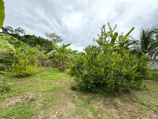 Terreno en venta en Takua Thung, Phang Nga