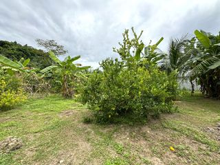 Terreno en venta en Takua Thung, Phang Nga