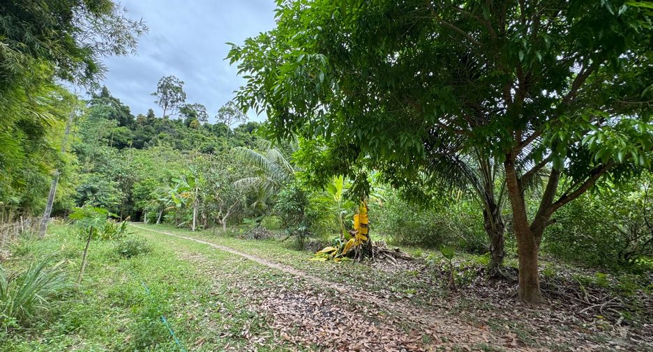 For sale land in Takua Thung, Phang Nga