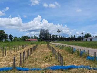 For sale warehouse in Mueang Prachuap Khiri Khan, Prachuap Khiri Khan
