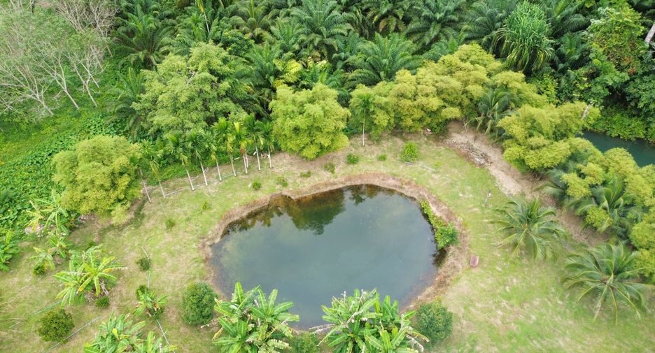 出售 土地 在 Takua Thung, Phangnga