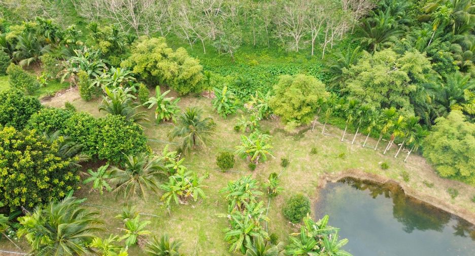 出售 土地 在 Takua Thung, Phangnga