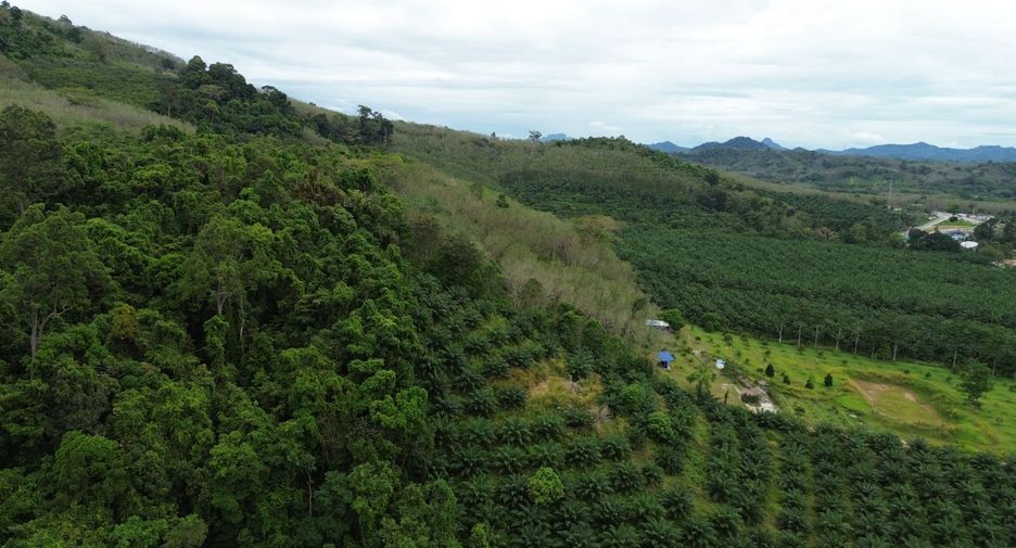 出售 土地 在 Takua Thung, Phangnga