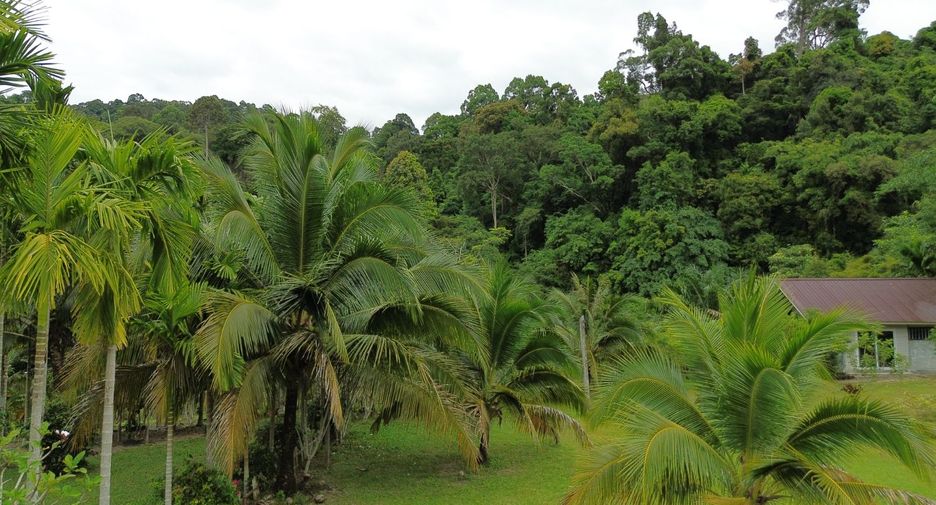 出售 土地 在 Takua Thung, Phangnga