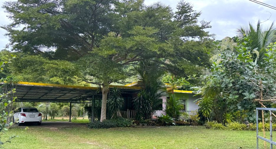 出售 土地 在 Takua Thung, Phangnga