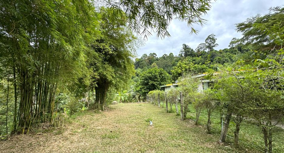 出售 土地 在 Takua Thung, Phangnga
