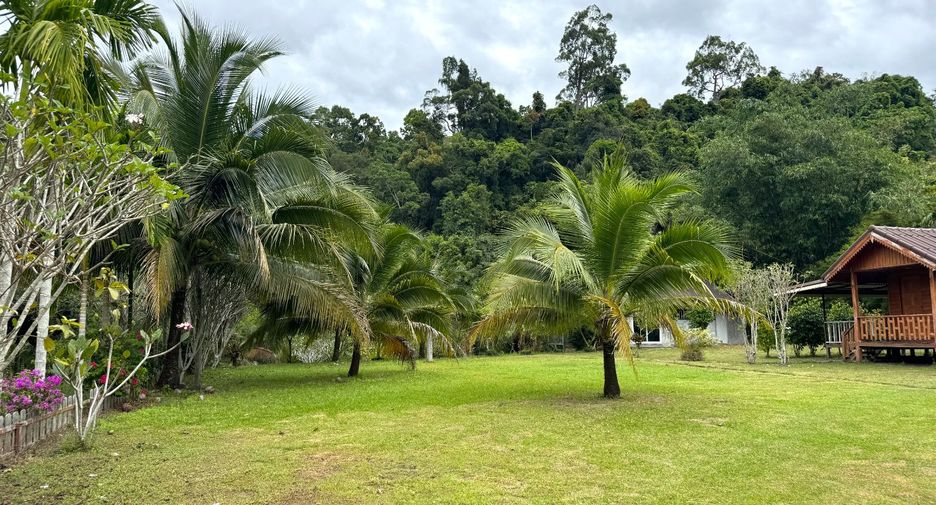 出售 土地 在 Takua Thung, Phangnga