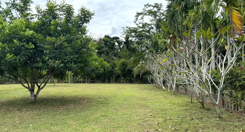 出售 土地 在 Takua Thung, Phangnga