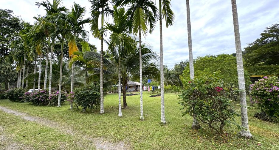 出售 土地 在 Takua Thung, Phangnga