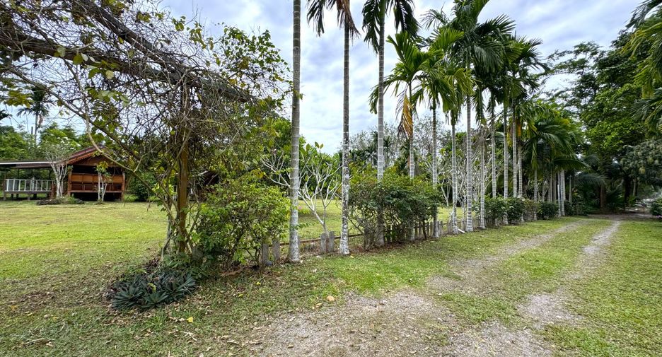 出售 土地 在 Takua Thung, Phangnga