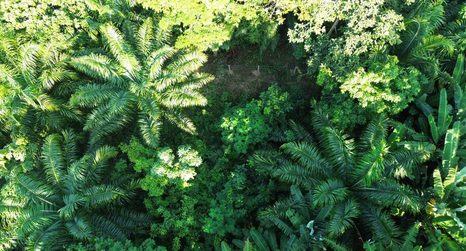 Terreno en venta en Takua Thung, Phang Nga