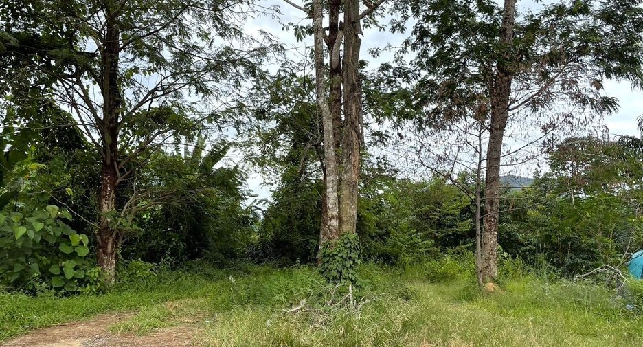 Terreno en venta en Takua Thung, Phang Nga