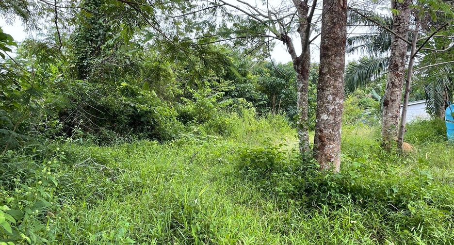 Terreno en venta en Takua Thung, Phang Nga