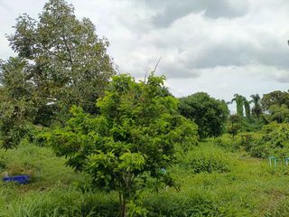 For sale land in Mueang Prachinburi, Prachin Buri