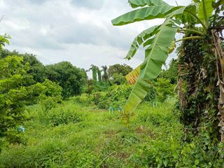 For sale land in Mueang Prachinburi, Prachin Buri