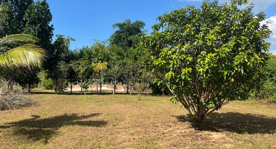 For sale 6 bedrooms house in Thai Mueang, Phang Nga