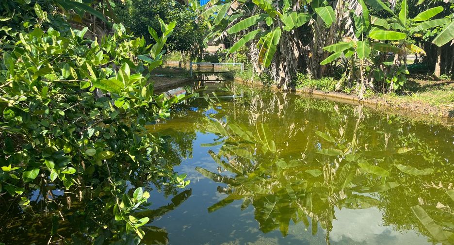 For sale 6 bedrooms house in Thai Mueang, Phang Nga