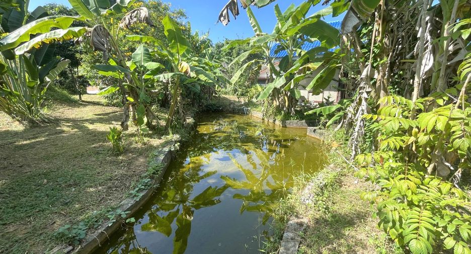 For sale 6 bedrooms house in Thai Mueang, Phang Nga