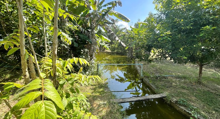 For sale 6 bedrooms house in Thai Mueang, Phang Nga