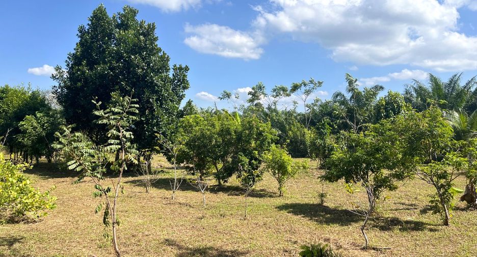 For sale 6 bedrooms house in Thai Mueang, Phang Nga