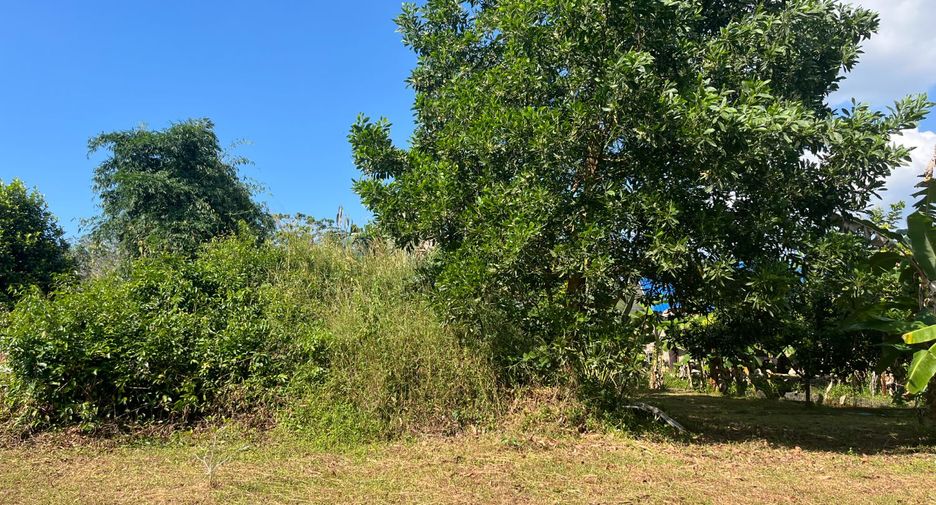 For sale 6 bedrooms house in Thai Mueang, Phang Nga