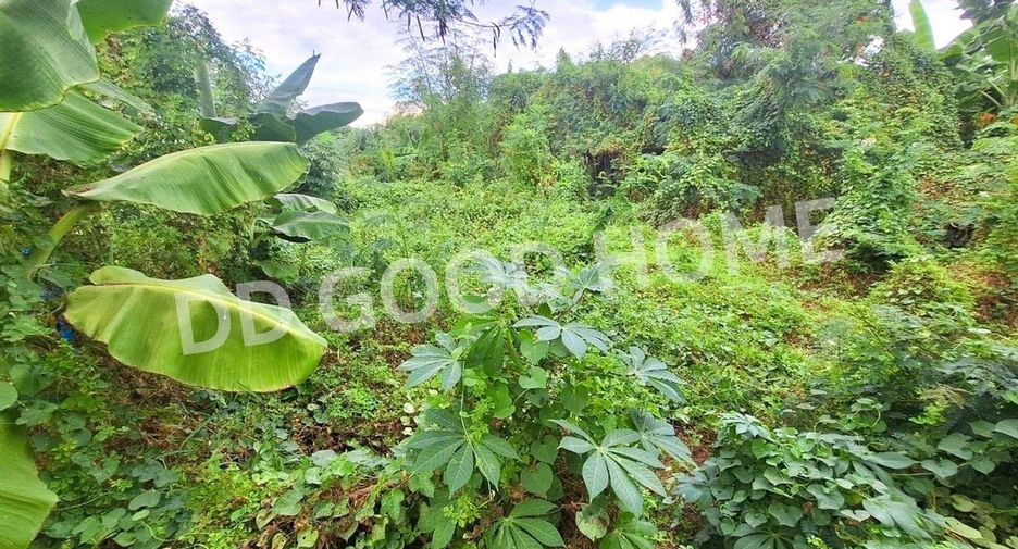 For sale land in Bang Khen, Bangkok