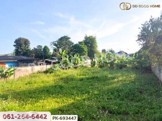 出售 土地 在 Fang, Chiang Mai