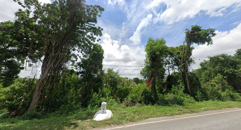 For sale land in Bamnet Narong, Chaiyaphum