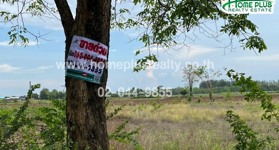For sale land in Wichian Buri, Phetchabun