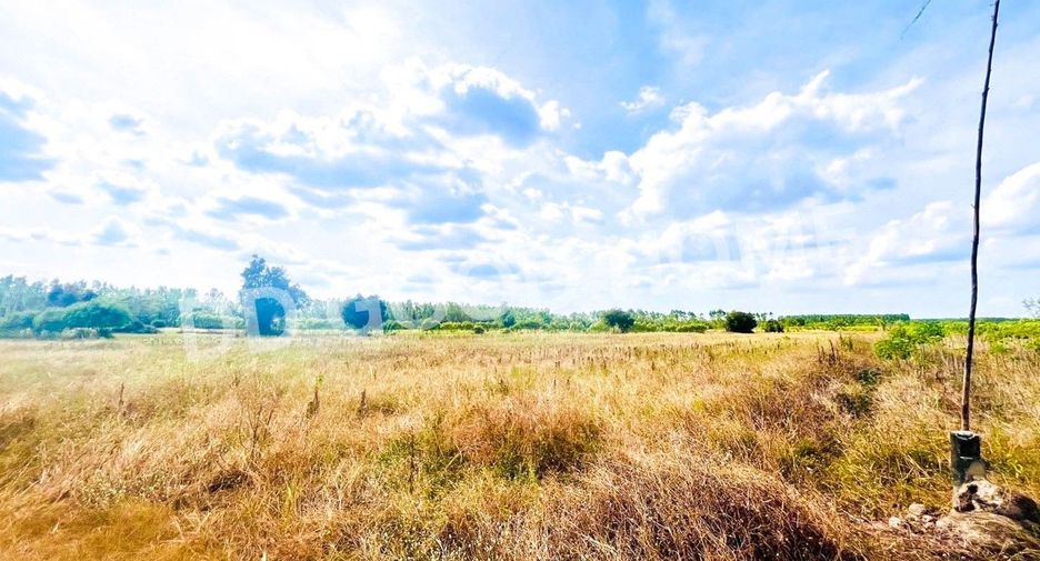 For sale land in Si Maha Phot, Prachin Buri